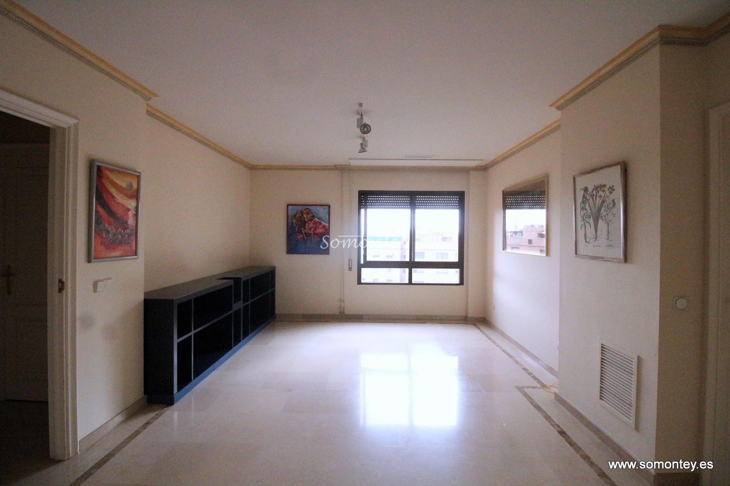 Amplio piso un dormitorio